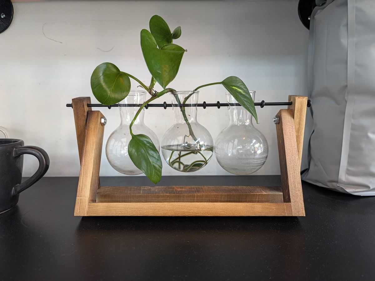 A plant in a planter