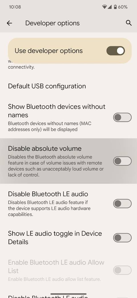 The developer options in google pixel device