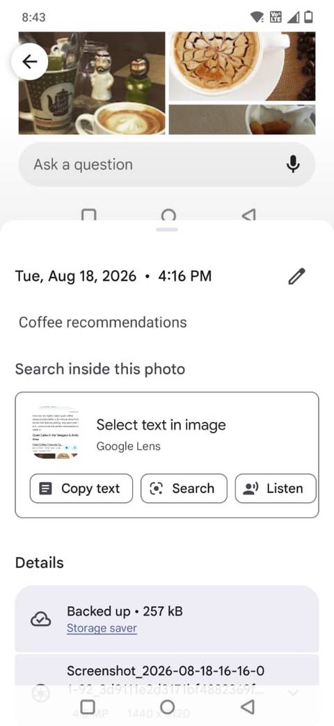 Screenshot showing the caption in Google Photos